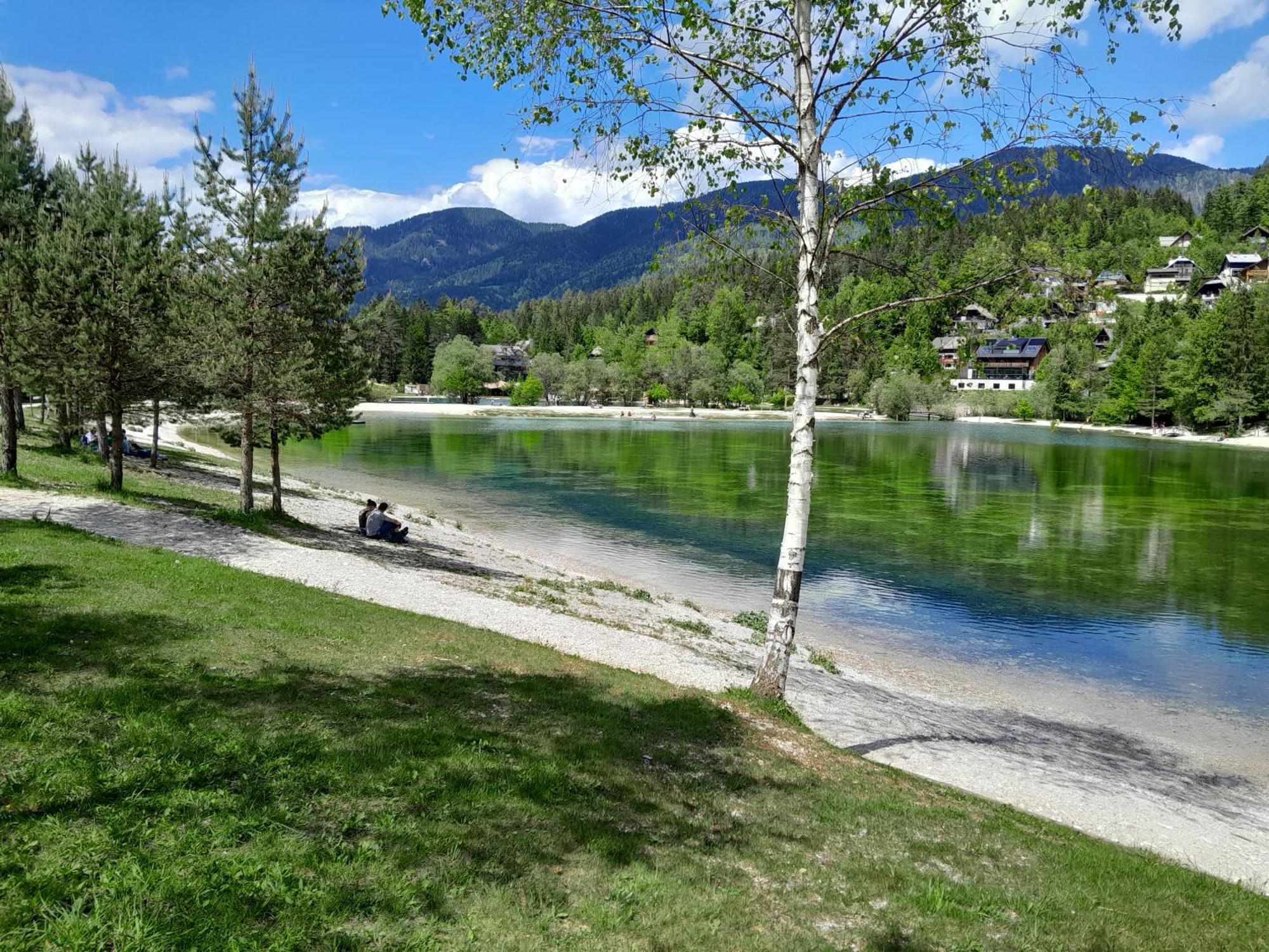 Les Chalet Kranjska Gora I エクステリア 写真
